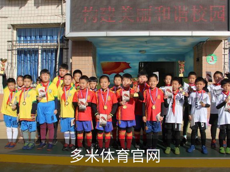 关于多米体育官网