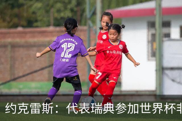 约克雷斯：代表瑞典参加世界杯非常自豪 与萨利巴交手很特别